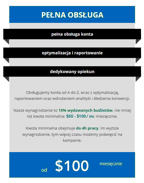 strony internetowe Chicago