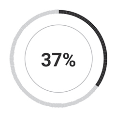 Lokalna znajomość rynku Chicago